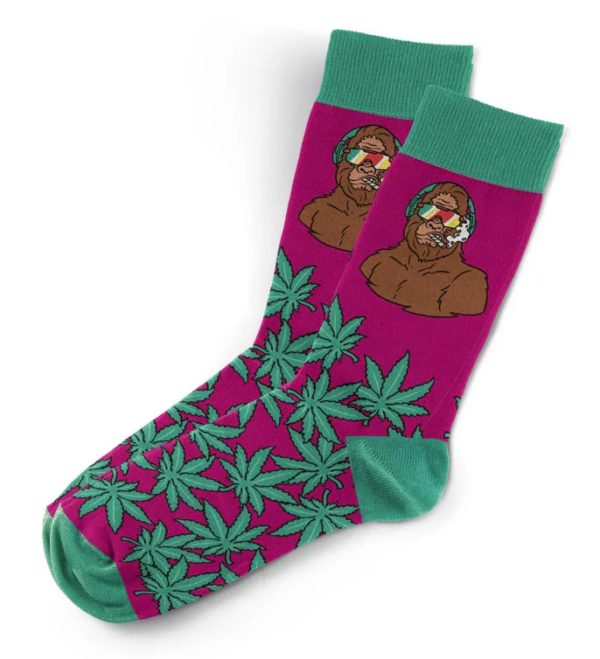 Blazing Buddies - Socks - Image 6