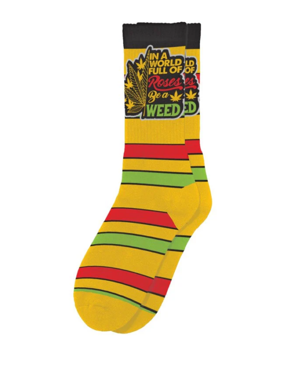 Sillies - Socks - Image 11