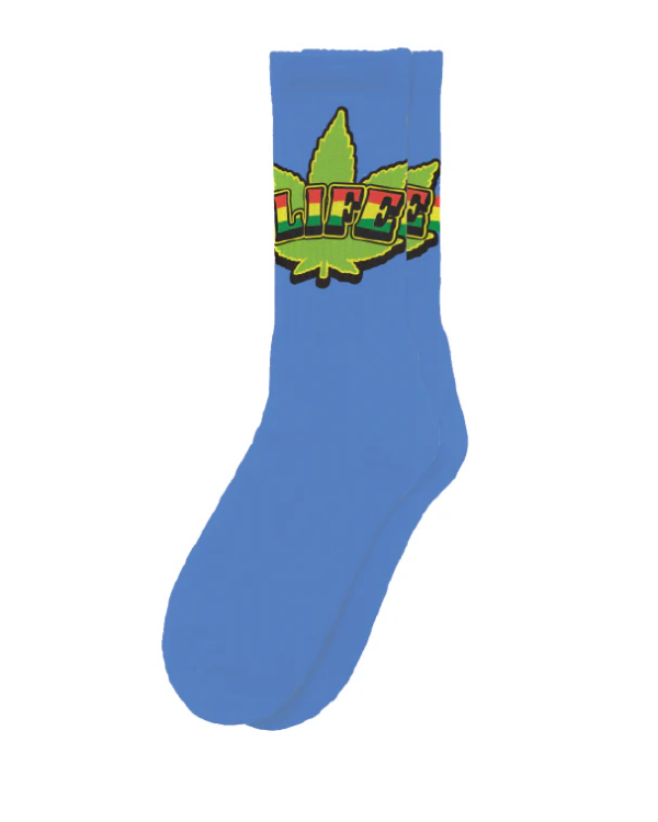 Sillies - Socks - Image 2